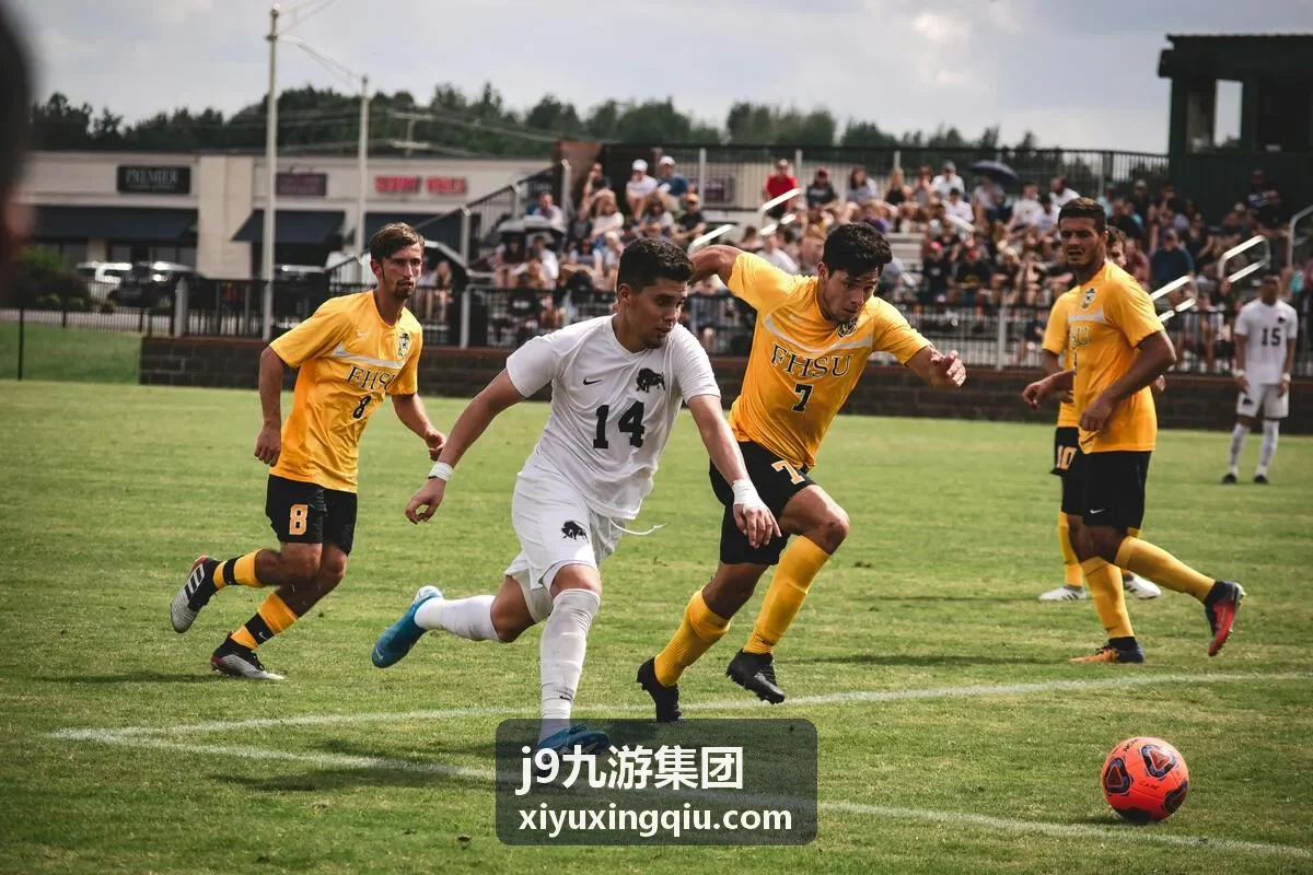 j9九游集团会员专题内容封面